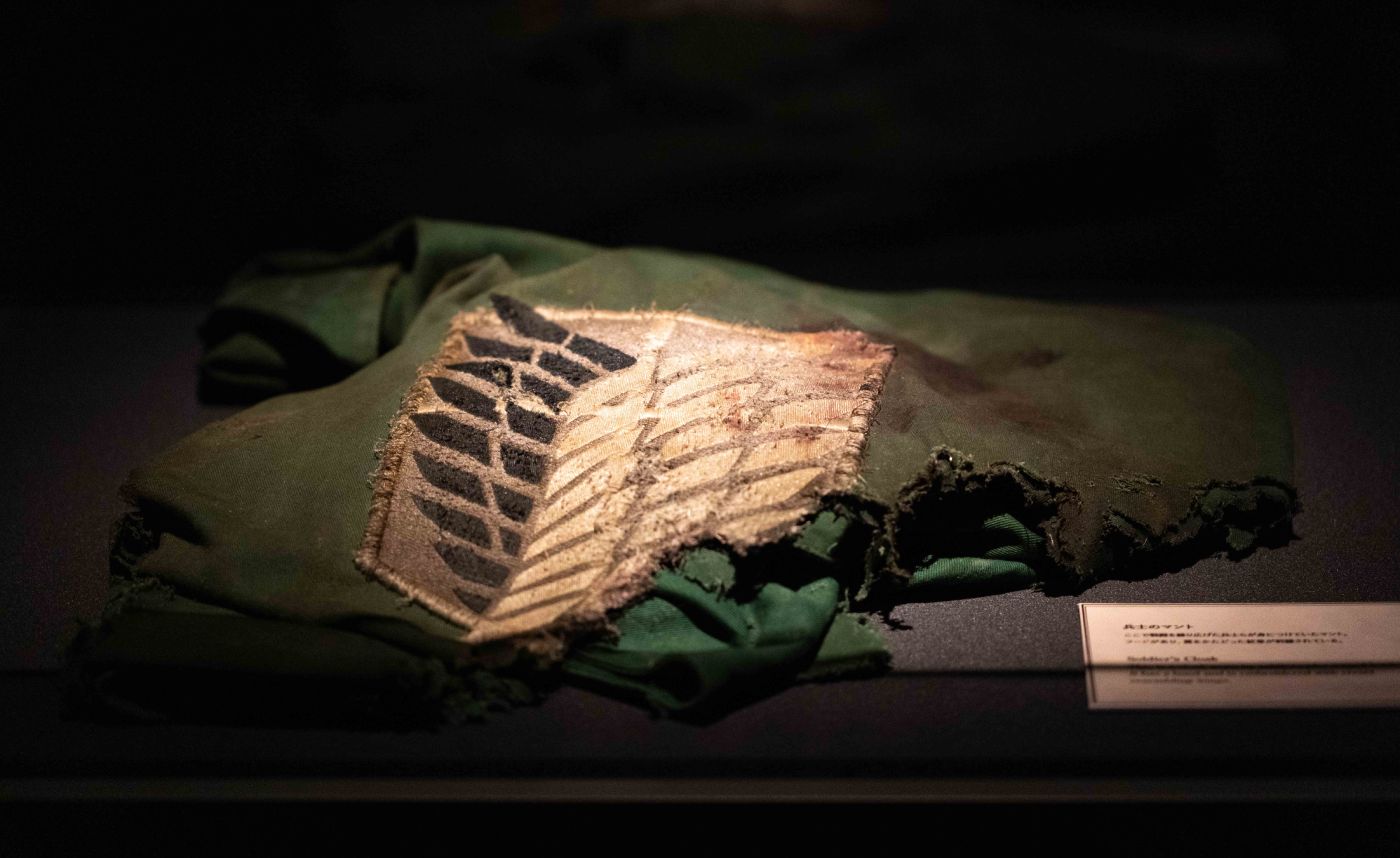 Attack On Titan: 진격의 거인 The Exhibition(진격의 거인: 전시)